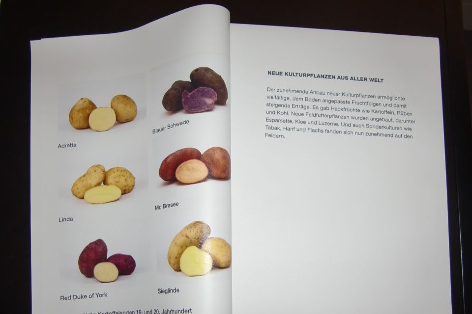 Kartoffelsorten aus aller Welt, Foto: TMB/Heidi Walter